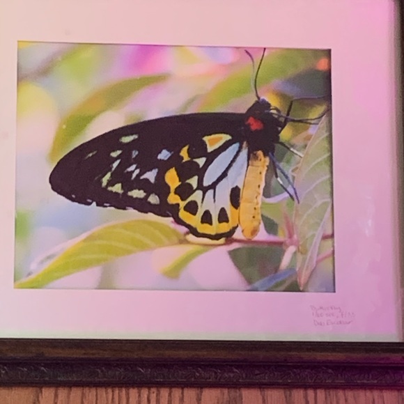 Meet your Posher, Deb - Picture 5 of 6